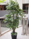 БЕСПЛАТНАЯ ДОСТАВКА Крупная симуляционная установка 1. 8 метров 8 высоких 4 голов, искусственные листья баньяновые деревья, пышные и много листьев, красивая посадка бонсай