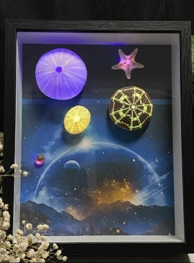 海胆相框发光相框的小夜灯摆件悬挂式的相框