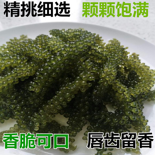 新鲜海葡萄即食长寿菜海藻菜寿司绿色鱼子酱100g - 图1