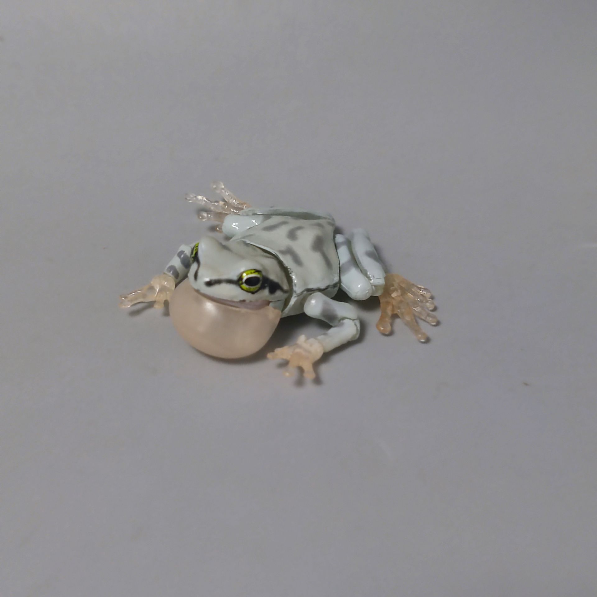 正版散货 万代 生物仿真图鉴 动物模型 青蛙 2寸 5cm 可动模型