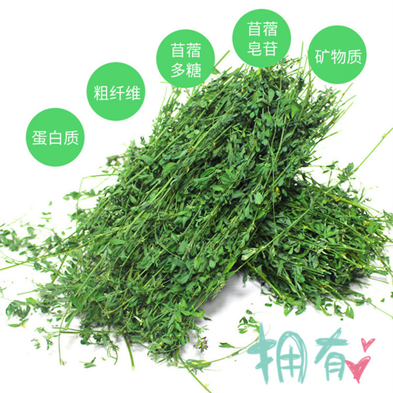 21新草兔子紫花苜蓿草干草幼兔粮龙猫垂耳兔草兔粮豚鼠饲料1kg 阳光宠物说狗聊猫 淘优券 21新草兔子紫花苜蓿草干草幼兔粮龙猫垂耳兔草兔粮豚鼠饲料1kg 阳光宠物说狗聊猫 淘优券