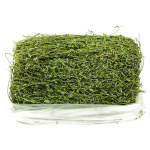25年新草特级紫花苜蓿草干草龙猫饲料豚鼠荷兰猪兔粮草叶多细杆 - 图1