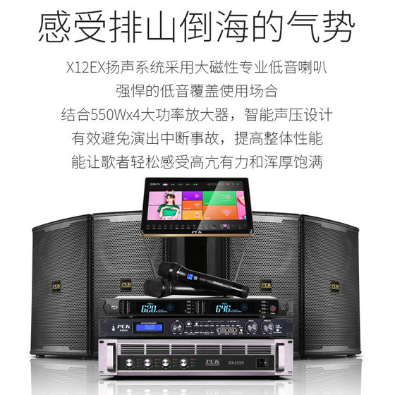 PUK王牌家庭KTV音响套装 全套 家用别墅会所酒吧点歌机卡拉ok音箱