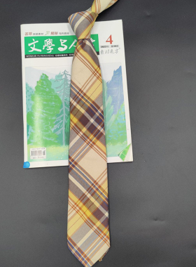 良呔免打日系咖啡色领带