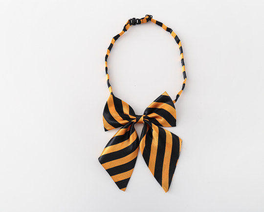 Liangmei Kindergarten Leader with College Bow Tie