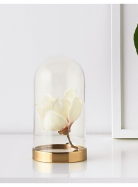 宜家带底座玻璃罩摆件家居饰品