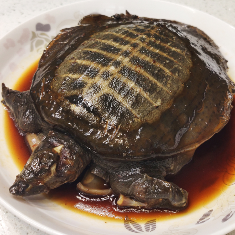 卤制麻辣大甲鱼450g团鱼憋肉王八卤味香辣冷冻熟食即食新鲜水产 - 图0