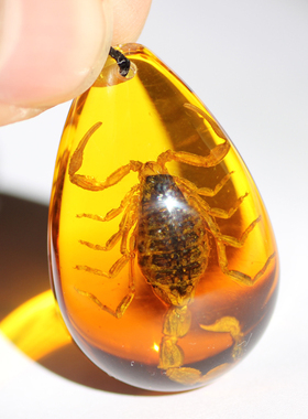 琥珀子羽渐变色蝎子昆虫标本项链