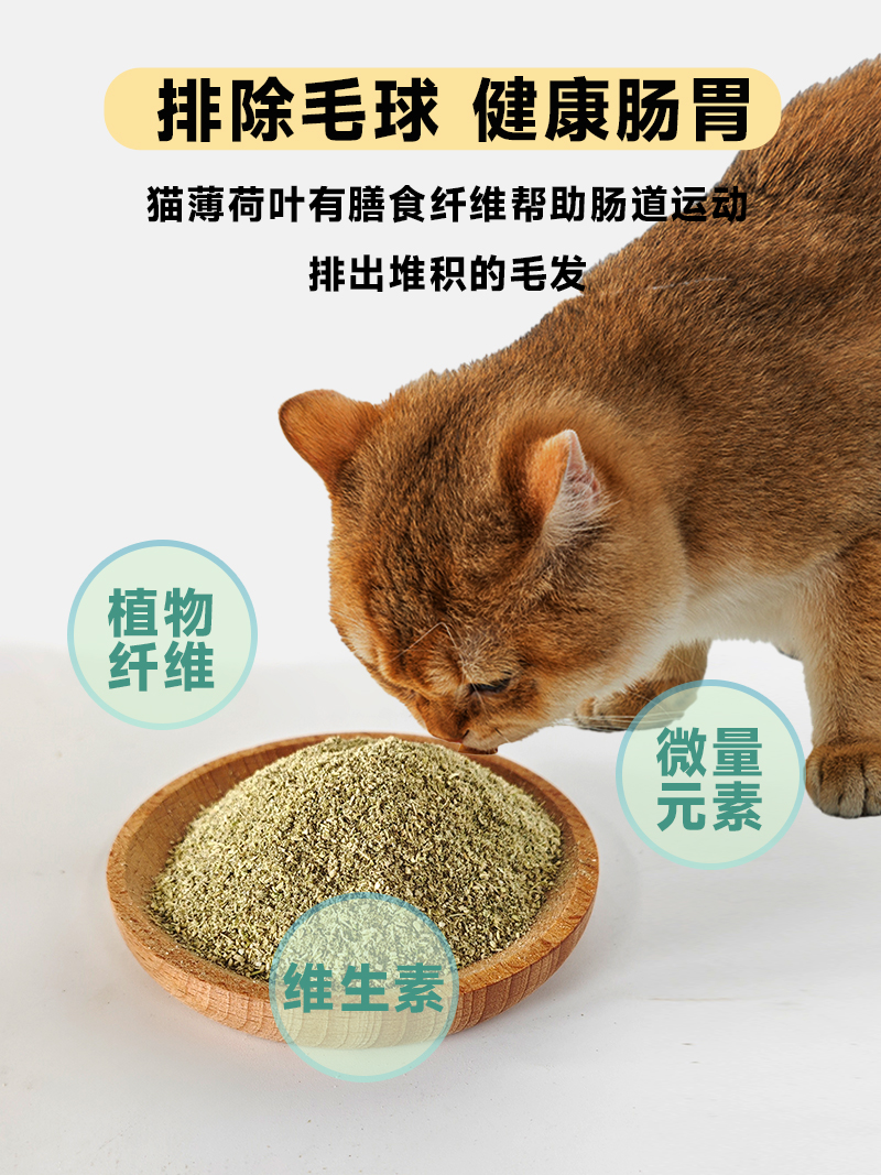 猫薄荷粉末可食用猫草即食化毛成幼猫磨牙洁齿可泡水桶装猫咪零食 - 图2