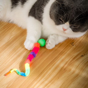 Caterpillar bouncy ball kitten ແລະ cat toys self-stimulating and relieving boredom cat artifacts bite-resistant cat teasing stick ບັນຊີລາຍຊື່ເຕັມຂອງອຸປະກອນແມວ