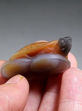 [金钱龟]纯手工雕刻玛瑙俏色巧雕小摆件 茶宠 楼叔孤品