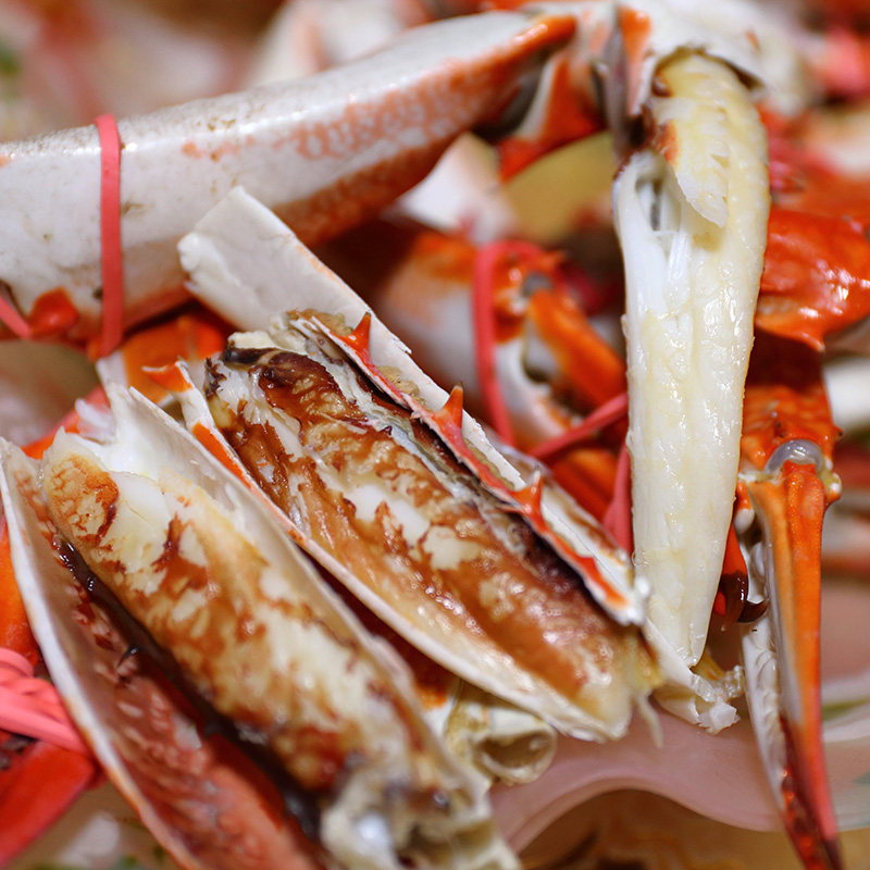 船小二丹东梭子蟹鲜活海鲜黄海野生大飞蟹东港特产螃蟹当天捕捞发