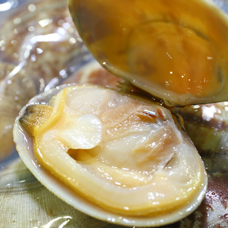 即食花甲沙蚬子杂色蛤蛤蜊鲜活丹东黄蚬子粉贝壳肉香辣熟食海鲜贝-图1