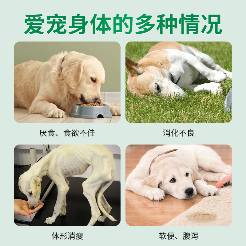 德国cdVet施德维特肠道营养剂犬喜爱改善狗肠胃敏感消化不良腹泻