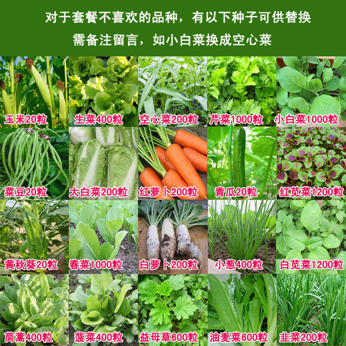 10种蔬菜种子套餐 秋冬季四季农家种子 阳台庭院种菜 菜籽易种 - 图1
