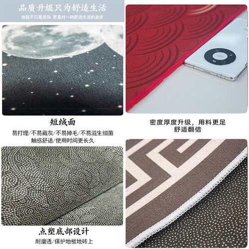 新款地毯客厅卧室轻奢高级简约满铺沙发大地垫茶几可擦房间床边毯 - 图3