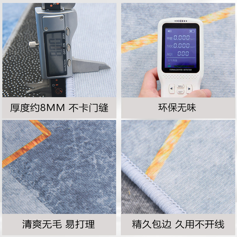 入户门地垫进门地毯玄关客厅大门口室外防滑门垫家用入门脚踏垫子 - 图0