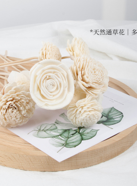 通草花无火香薰diy配件香插家居花艺装饰摆件干花永生花仿真花