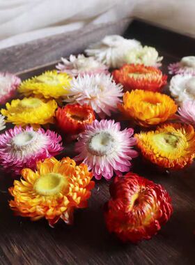 天然风干麦秆菊永生花DIY材料包
