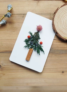圣诞真花干花DIY手工贺卡材料包对折卡节日通用感谢卡圣诞节送礼
