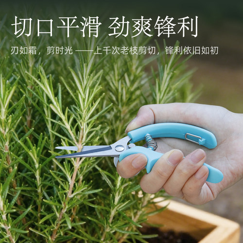 沃施worth 园艺剪刀修枝剪树枝剪剪鲜花花剪花艺剪刀家用修剪工具 - 图1