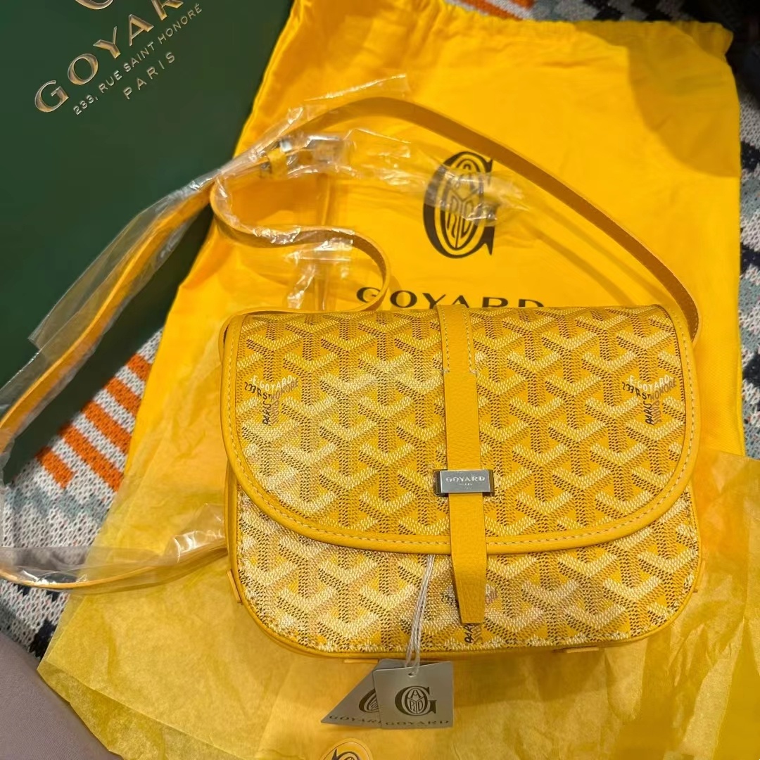 Goyard/戈雅女包Belvedere马鞍相机包邮差狗牙包相机单肩斜挎包包-图3