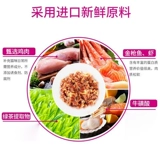 Непослушная мешка с влажным зерном кошачьи консервированные закуски кошачьей кошки замечательные свежие изготовленные котят