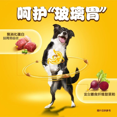 Baolu пожилая собака зерна пища взрослые собаки, собаки, мультипак, золотой скорее, официальный флагманский магазин среднего типа в среднем типе