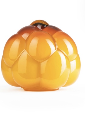 原装正品HostBoda水晶野莓花瓶