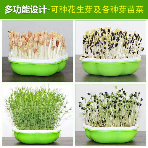 花生芽种植盆多功能种植盒水培神器芽苗菜育苗盘发豆芽家用托盘小 - 图2