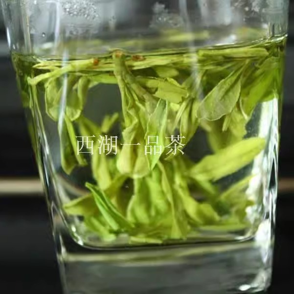 现货2024新茶杭州绿茶龙井雨前龙井茶叶春茶高山老茶树绿茶500g-图3