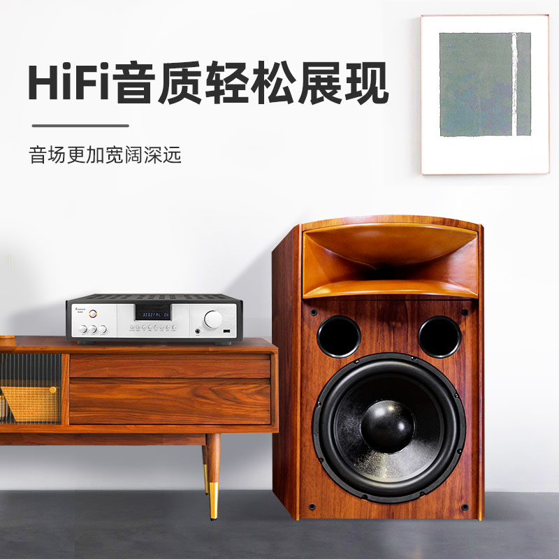 18年诚信店 班龙H15发烧级书架音箱实木号角12寸音箱hifi无源音响 - 图2