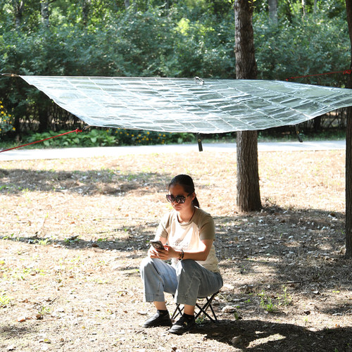 户外超轻便携野餐垫单人双人铝箔防潮垫地席保暖隔脏多人野营地垫 - 图2