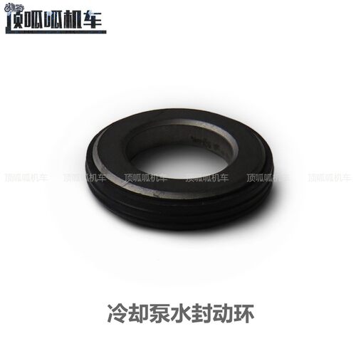 隆鑫无极300R/300RR冷却泵水封静环动环叶轮无极300发动机原车件 - 图1
