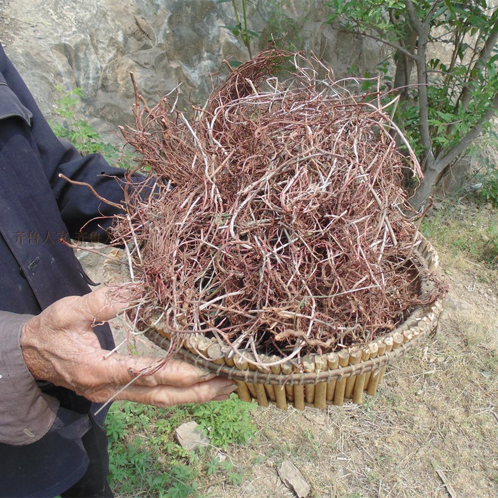 沂蒙山茜草生地膏倪海厦中药材血见愁 野生红根草 娃娃拳拉拉秧根 - 图0