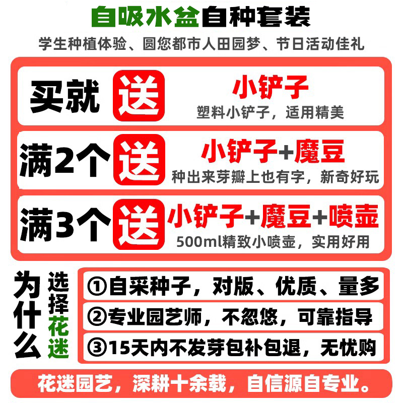 小花农儿童种植盆栽迷你绿植物发芽生长观察罐头种子幼儿园盲盒杯 - 图1