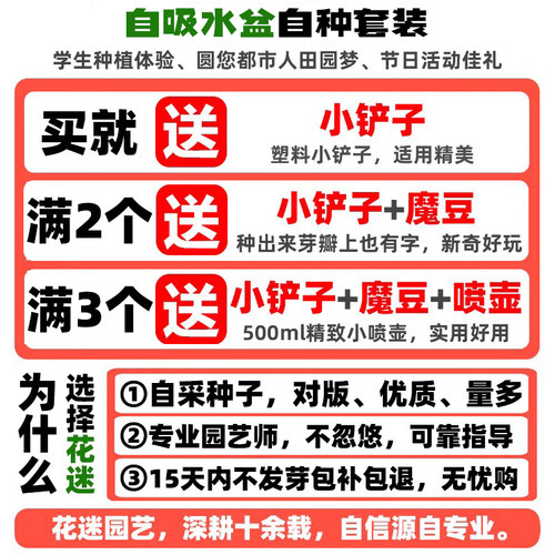 小花农儿童种植盆栽迷你绿植物发芽生长观察罐头种子幼儿园盲盒杯-图1