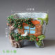 Succulent flowerpot resin flowerpot cartoon personality pastoral green plant pot succulent flowerpot rectangular simple flowerpot