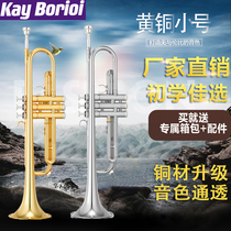 Original Dress Taiwan Kebo Trumpet Instrument KTR-8335GS Drop of B Student Adult Exam Class Professional Play