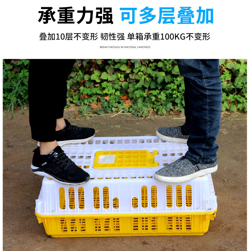 鸡笼运输笼塑料家禽周转箱筐成鸡鸭鹅鸽子笼子家用大号兔笼养殖笼,淘宝优惠券,粉丝福利购,淘宝优惠卷