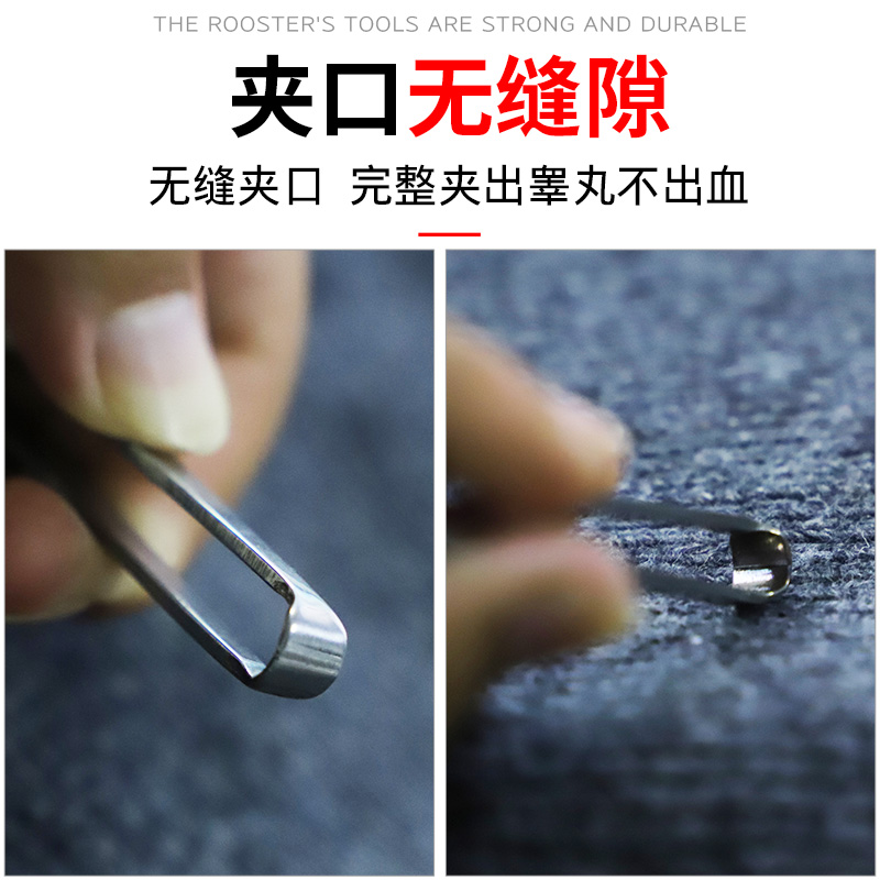 新式不锈钢阉鸡全套工具专业大小公鸡快速阉割刀阉鸡器鸡阉割工具,淘宝优惠券,粉丝福利购,淘宝优惠卷