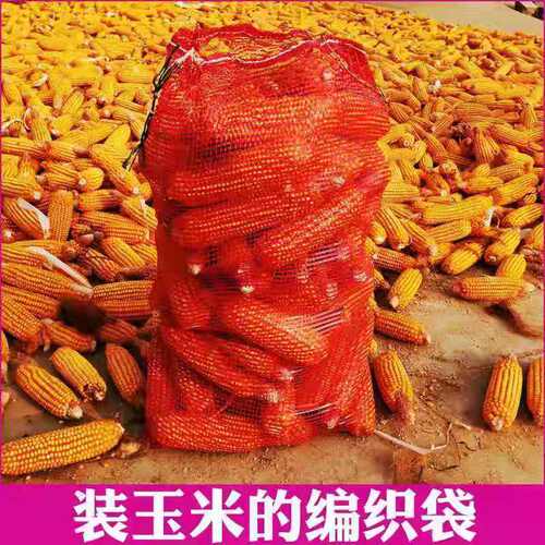 干玉米网袋批发包谷专用加密网兜透气装棒子网眼袋 - 图0