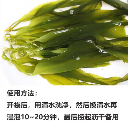 皓达海带新鲜海产品嫩苗火锅煮汤凉拌盐浸渍制薄脆小海带200g包邮 - 图0
