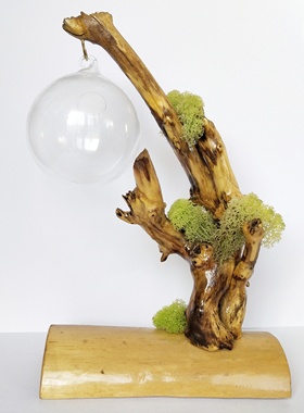 天然永生苔藓空气多肉植物摆件