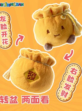 蜡笔小新花财聚宝盆礼盒毛绒花束