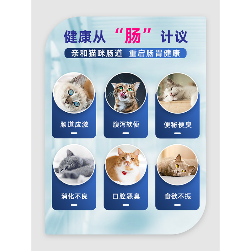 喵君 MAG布拉迪酵母菌猫咪专用益生菌调理肠胃保健防软便便秘10条 - 图0