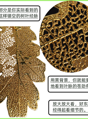 美国产天然树叶镀18K黄金吊坠项链毛衣链国际珠宝圣诞宴会礼物