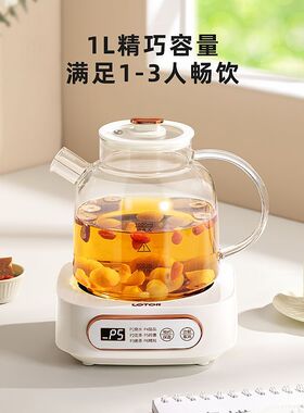LOTOR全玻璃养生壶办公室煮花茶
