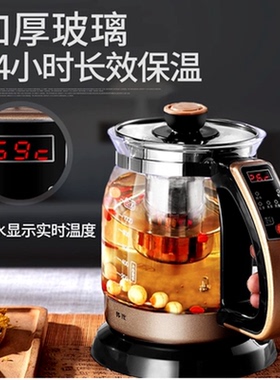 养生壶煎药壶电热水烧水智能恒温