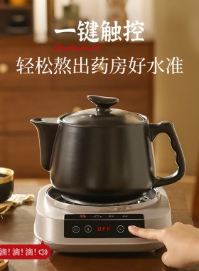 煎中药煲养生壶全自动煎药壶预约